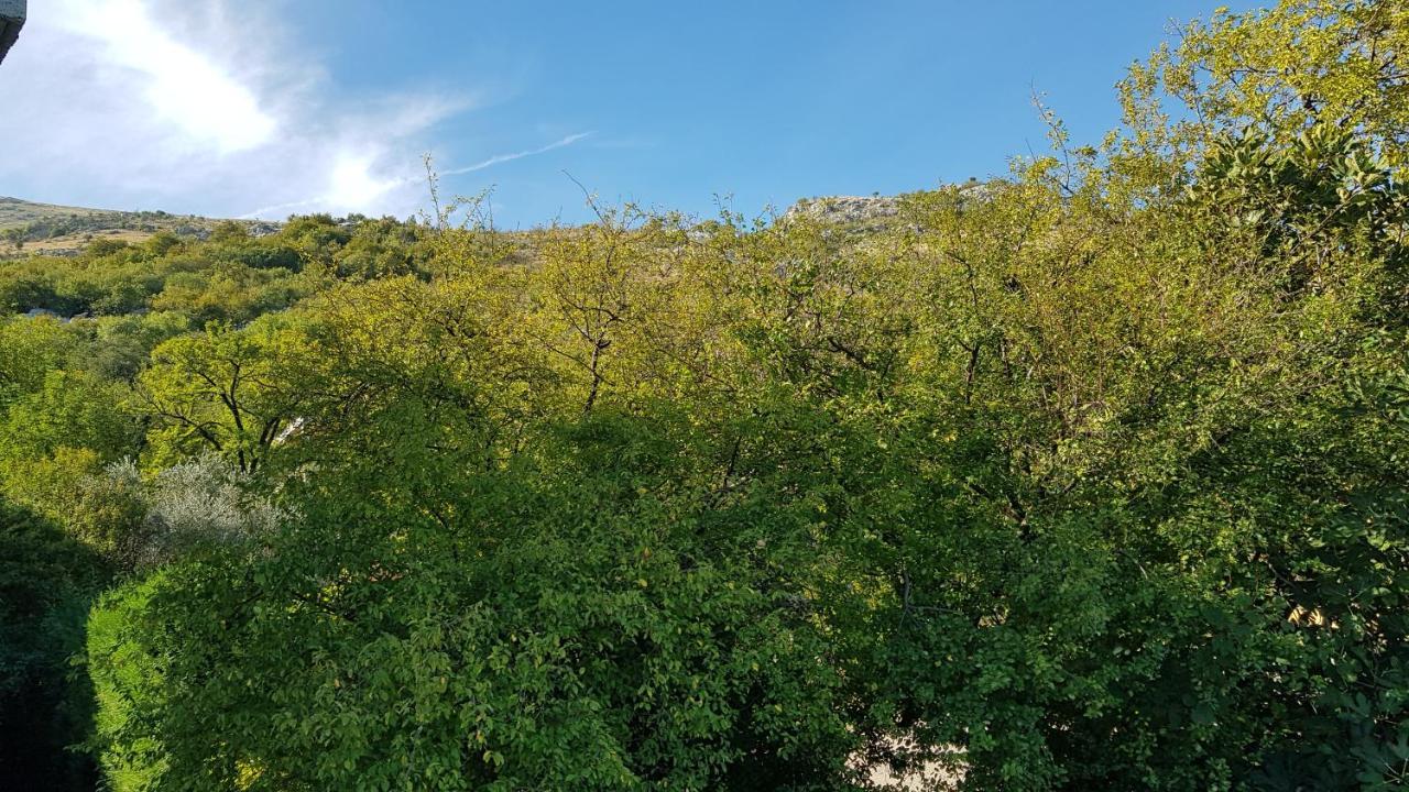 Rooms Lake View Balani Restaurant Shkodra Exterior foto